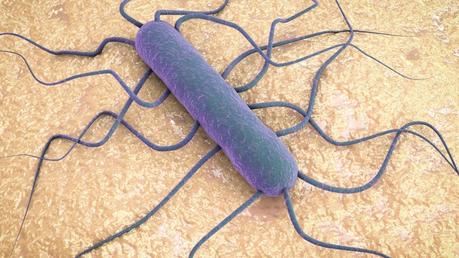 Síntomas de la Listeriosis