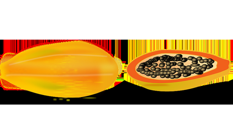 Jugo de papaya para evitar la acumulación de grasas - Trucos de salud caseros