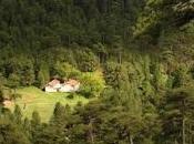 Ganador Concurso Argentaria