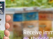 Irideon coordina proyecto financiado Unión Europea para mejorar salud abejas Mientras pérdidas colmenares siguen preocupando apicultores, grupos ecologistas, legisladores ciudadanos, nuevo prete...