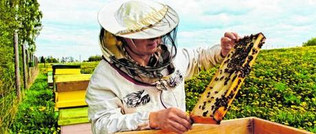 Apicultori  Foto: FAN