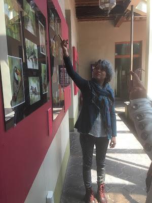 PRESENTAN EXPOSICIÓN “ARTE-CORREO. EL COLOR SE MUEVE” EN EL MUSEO DE LA ACUARELA