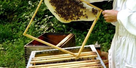 DGAV realiza tres acciones de formación de apicultura