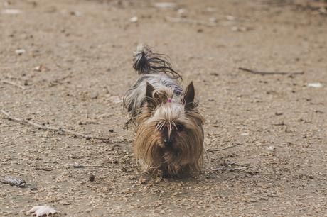 Mix And Match: Granada+Video-- Clones DR Martens Mix And Match: Granada+Video-- Clones DR Martens