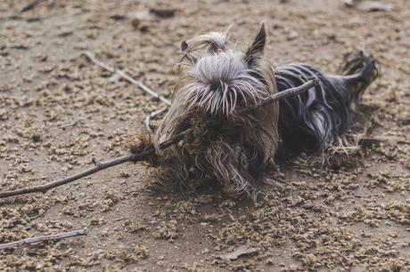 Mix And Match: Granada+Video-- Clones DR Martens Mix And Match: Granada+Video-- Clones DR Martens