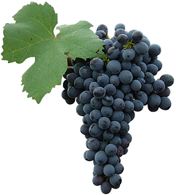 II EXPERIENCIA VEREMA SEVILLA: Lunes 5 de marzo de 2018: Cata “Ribera del Duero, Vinos de Altura” II EXPERIENCIA VEREMA SEVILLA: Lunes 5 de marzo de 2018: Cata “Ribera del Duero, Vinos de Altura”