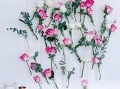 Lista Deseos Rosegal