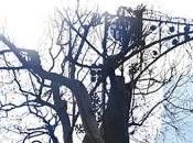 Juego Ángel Carlos Ruiz Zafón,Descargar gratis