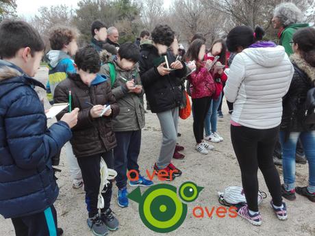 Cómo ver 36 especies al lado de tu instituto y gozar para contarlo