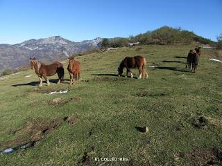 El Pino-L.lavayos-La Felguera-L.ladiel.los-Pola del Pino