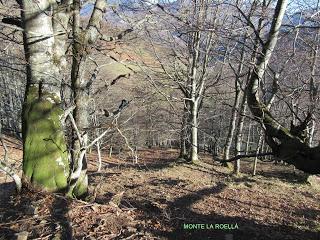 El Pino-L.lavayos-La Felguera-L.ladiel.los-Pola del Pino