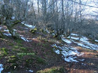 El Pino-L.lavayos-La Felguera-L.ladiel.los-Pola del Pino