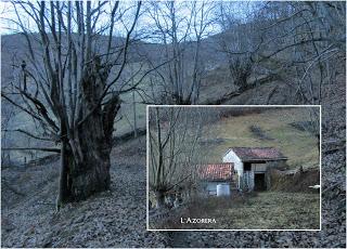 El Pino-L.lavayos-La Felguera-L.ladiel.los-Pola del Pino