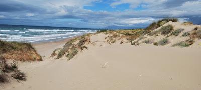 Ejemplo de dunas costeras en España