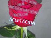 Duelo Etapa Aceptación/Continuar