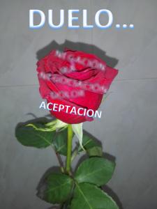 Duelo V: Etapa de Aceptación/Continuar