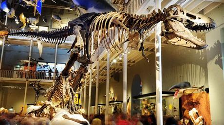 Que Visitar En Edimburgo, La Capital De Escocia | 12 Lugares De Interés