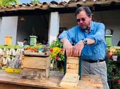 BBVA lanza proyecto apícola beneficia comunidades campesinas Santander