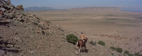 The Man from Laramie - 1955