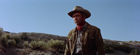 The Man from Laramie - 1955