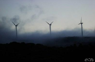 consejos para hacer el Camino de Santiago Consejos para hacer el Camino de Santiago a pie