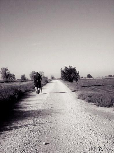 consejos para hacer el Camino de Santiago Consejos para hacer el Camino de Santiago a pie
