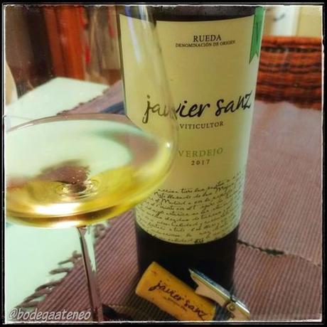 Javier Sanz Verdejo 2017