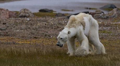Los efectos sobre el clima continuarán durante 2018