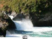 ríos Chile están peligro explotación. como chilenos salvando.