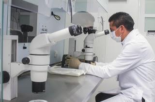 LOGRA EDOMÉX 335 EMBARAZOS EN LA CLÍNICA DE REPRODUCCIÓN