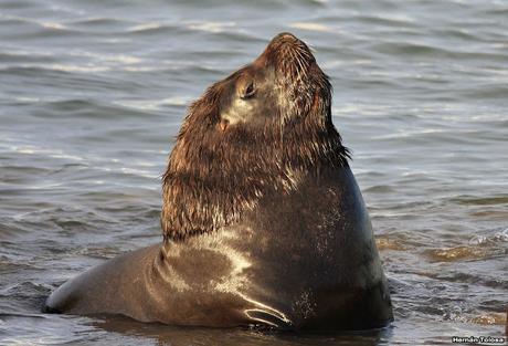 Puerto de Mar del Plata (diciembre 2017)