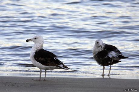 Puerto de Mar del Plata (diciembre 2017)