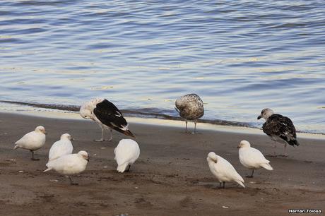 Puerto de Mar del Plata (diciembre 2017)