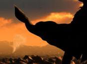 Amazon estrenará serie Torre Oscura', saga Stephen King