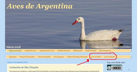 Nuevas secciones en Aves de Argentina