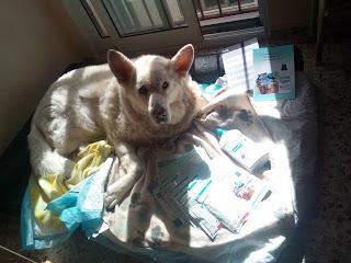 Opinión: Sanytol desinfectante textil