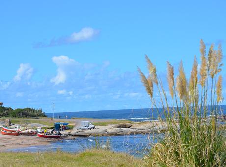Uruguay: días de playa con perro incluido {Parte I - Punta del Este}