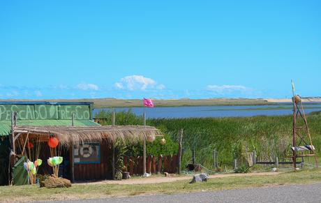 Uruguay: días de playa con perro incluido {Parte I - Punta del Este}