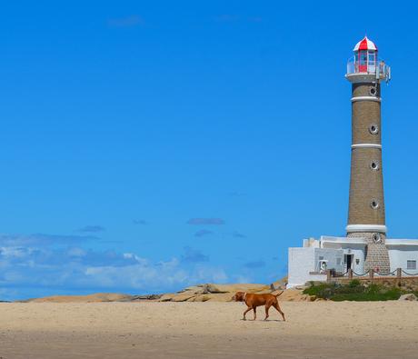 Uruguay: días de playa con perro incluido {Parte I - Punta del Este}