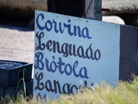 Uruguay: días de playa con perro incluido {Parte I - Punta del Este}