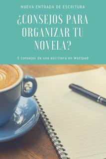 organización, novela, ser escritor, organizar la novela y la escritura