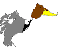 El pato de las Américas.