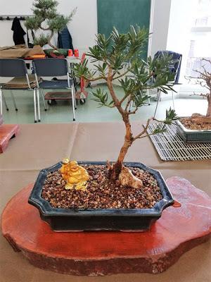 Exposicion : Can Palet 2018 Exposicion : Can Palet 2018