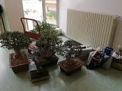 Exposicion Palet 2018