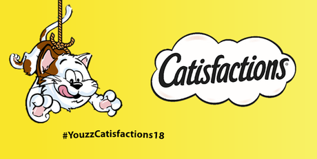 Catisfactions - Youzz