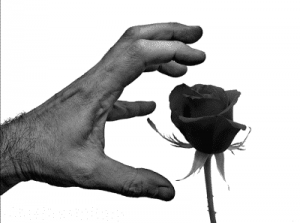 Agresividad. La Cara Externa Del Veneno Interno