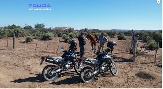 Policía: Nuevas visitas rurales cerca de Picún Leufú