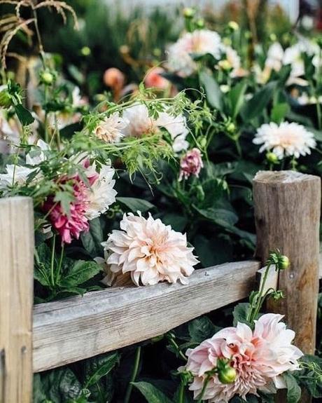 Bienvenida primavera Bienvenida primavera