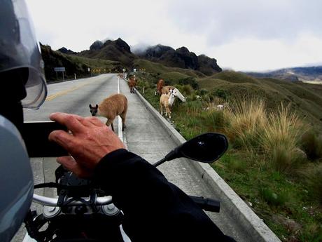 2017 ECUADOR (y III) IMG_3548