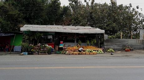 2017 ECUADOR (y III) dav